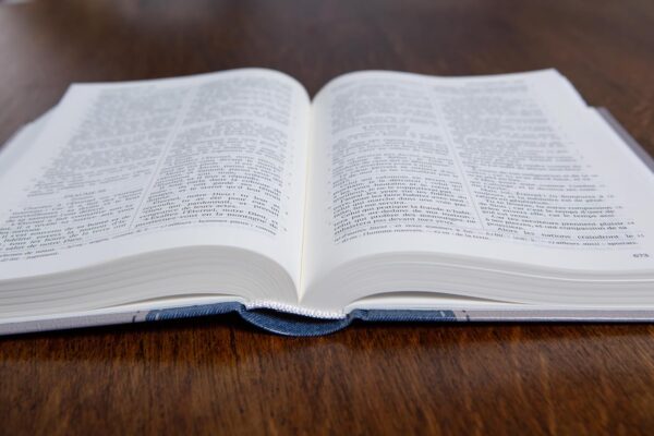 LA SAINTE BIBLE DARBY