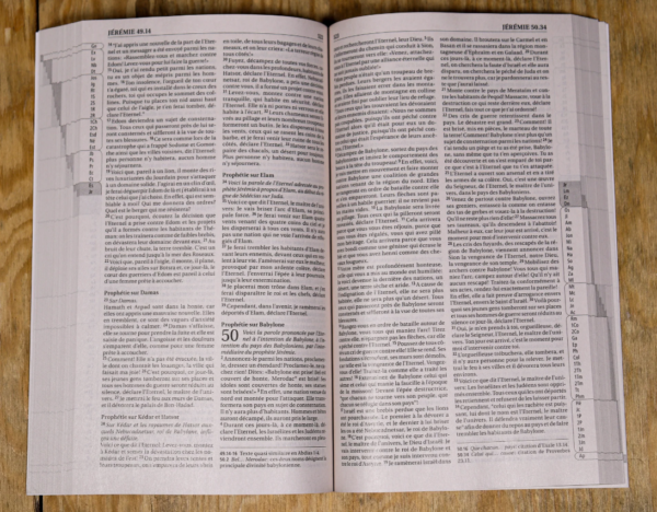 Bible Segond 21 blanche