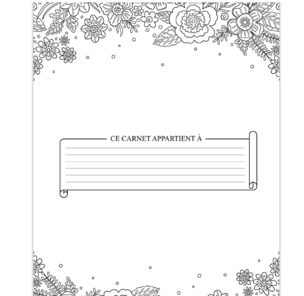 Carnet d’étude de la Bible: Un livret d'étude pour y inscrire les réflexions que vous inspire la Bible, y noter des versets bibliques, y rédiger vos pensées et vos prières. Broché – 21 mars 2020