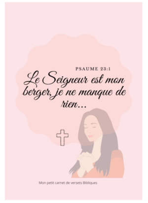 Mon petit carnet de versets Bibliques Broché – 15 novembre 2020